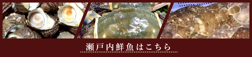 瀬戸内鮮魚はこちら